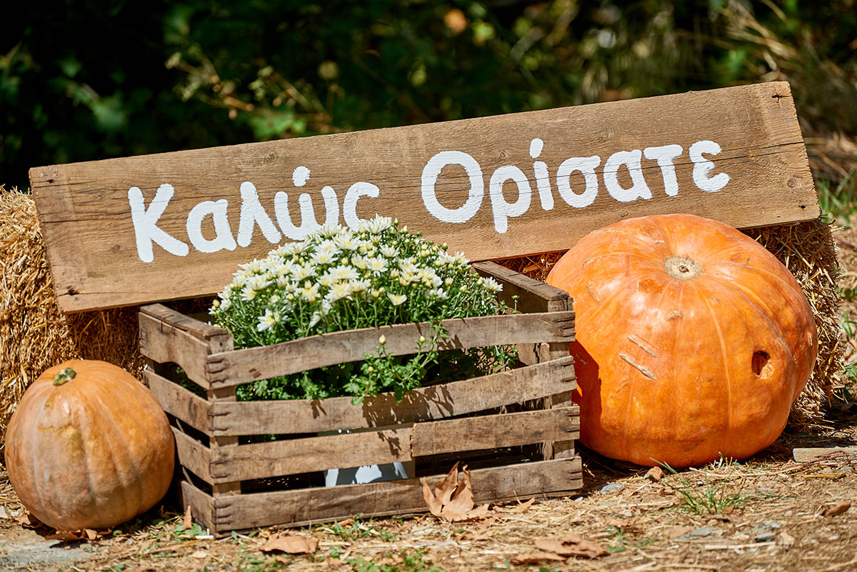 karaiskos farm cooking lessons pelion gastronomy