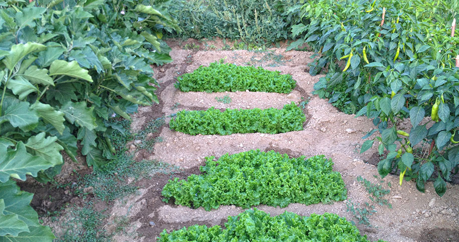 karaiskos farm portaria greece