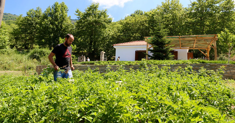 karaiskos farm portaria pelion
