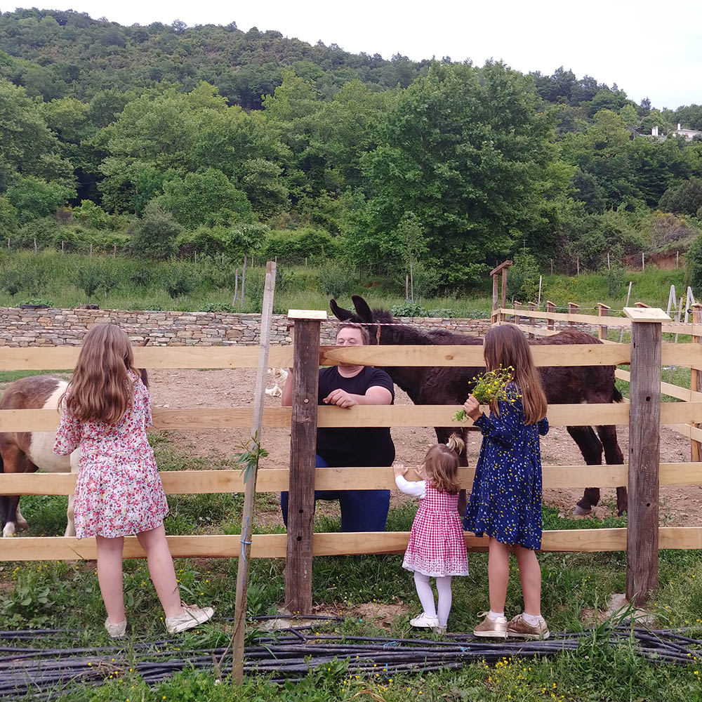 birthday with poney and donkeys karaiskos farm portaria pelion greece