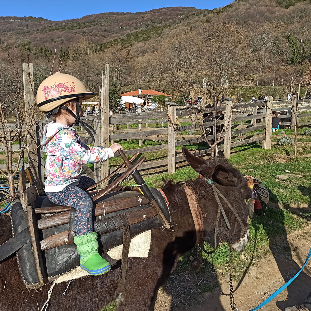 karaiskos farm donkey ride poney ride horses for kids pelion activities