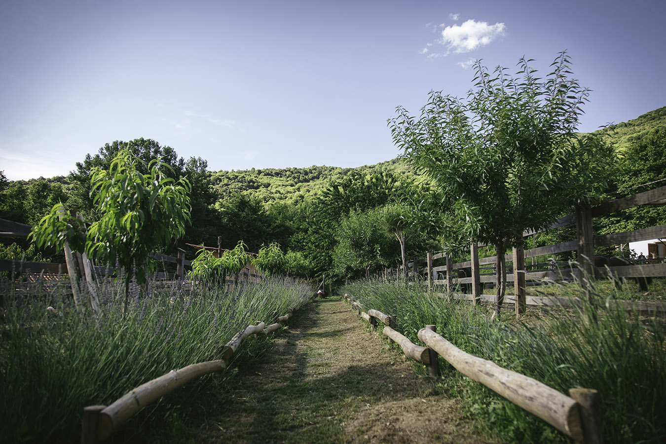 Karaiskos Farm Portaria 2023