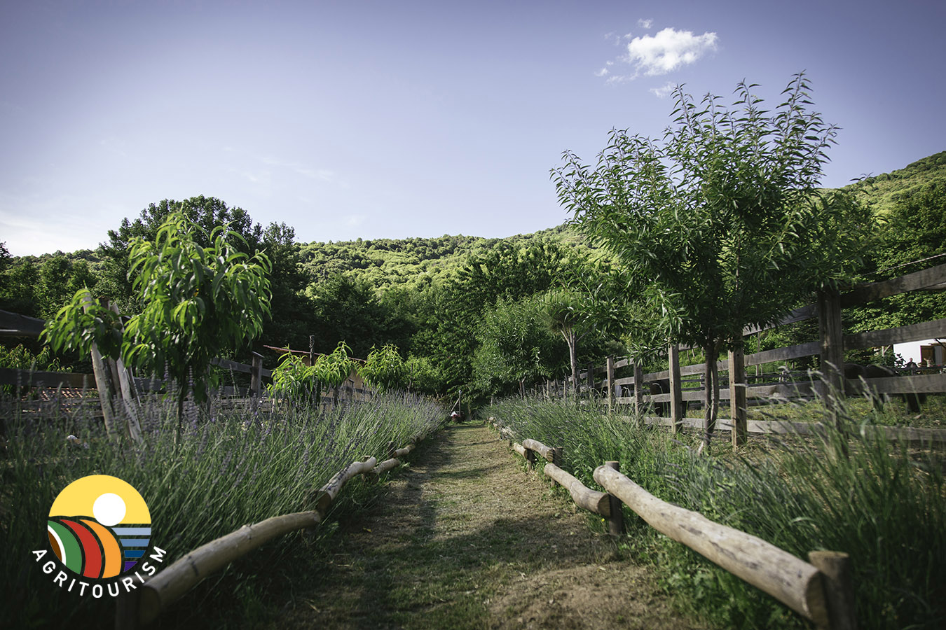 Karaiskos-Farm-Portaria-2023 agrotourism pelion greece cooking lessons