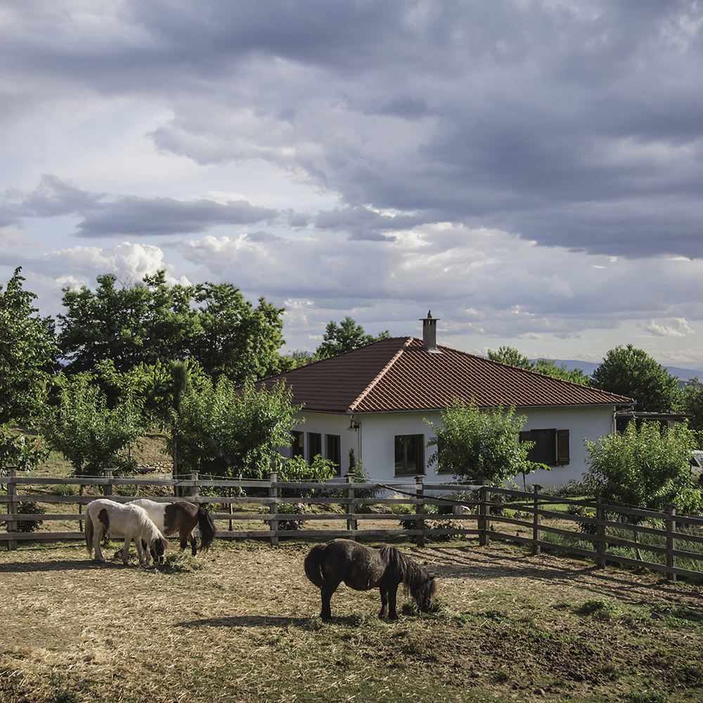 Karaiskos Farm pony horses donkeys pelion portaria greece