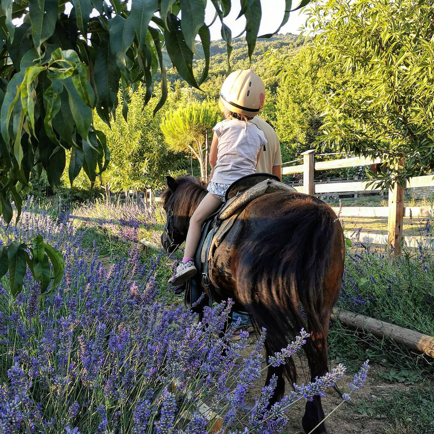 karaiskos farm pony rides for kids portaria greece pelion